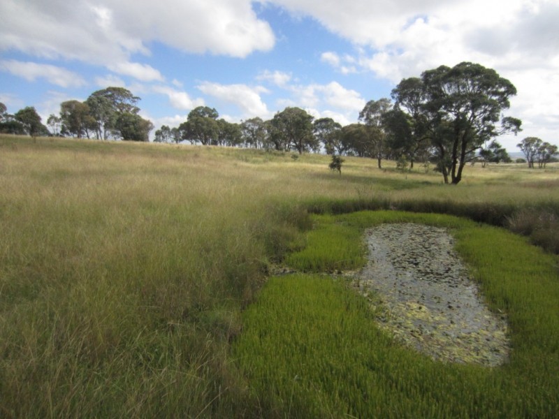 403 Rosemont Road, Goulburn NSW 2580