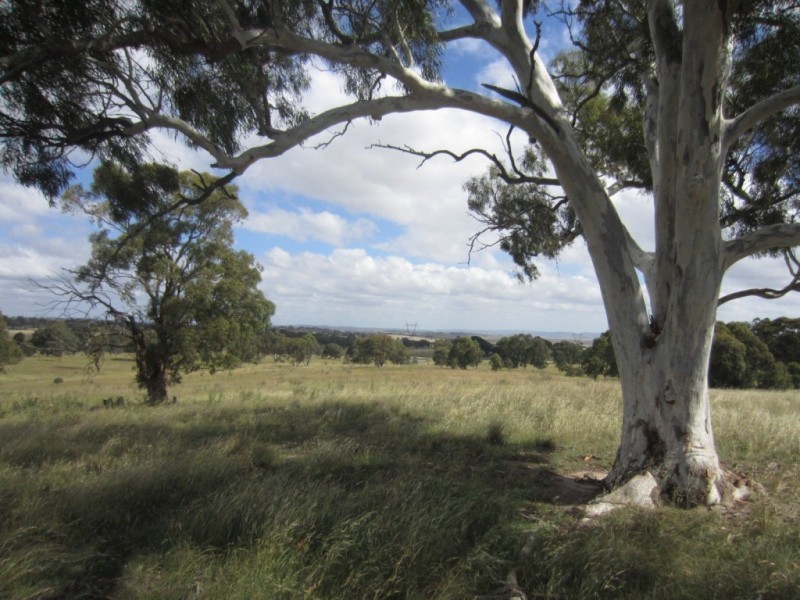 403 Rosemont Road, Goulburn NSW 2580