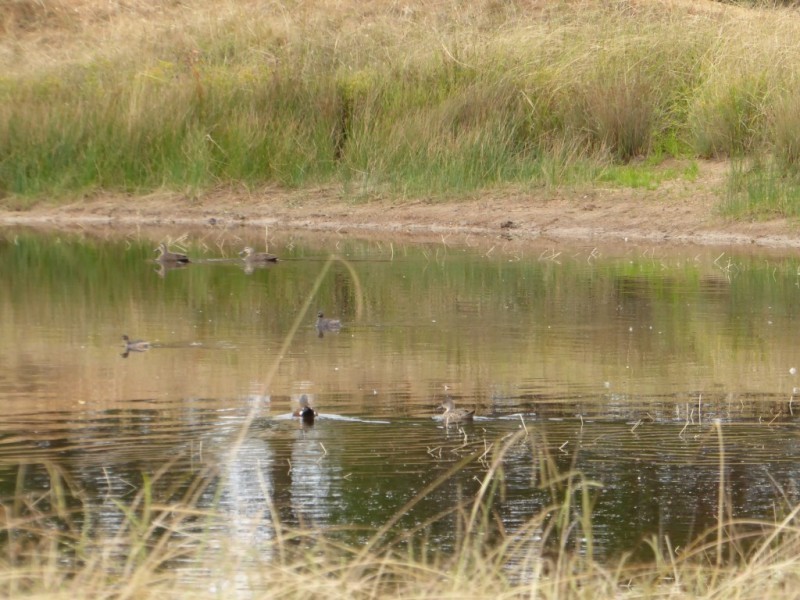 Lot 6/ 235 Gurrundah Road, Goulburn NSW 2580