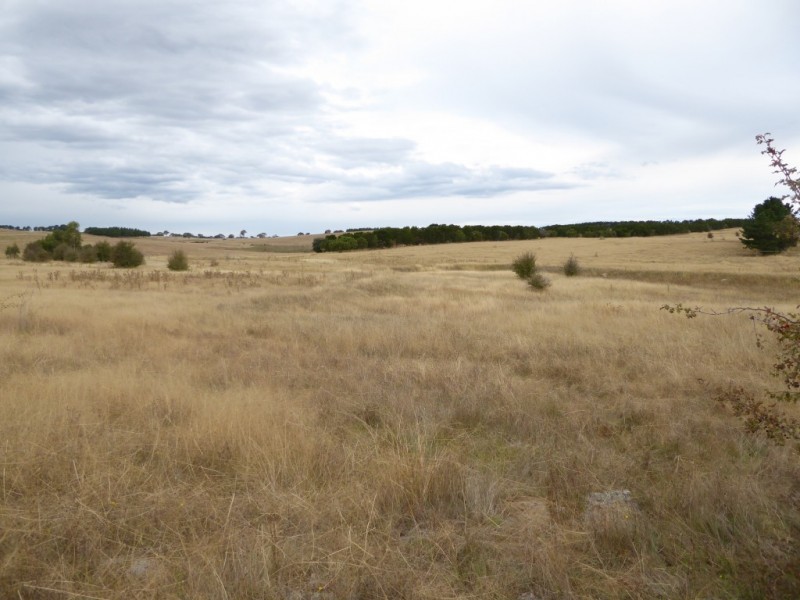 Lot 6/ 235 Gurrundah Road, Goulburn NSW 2580