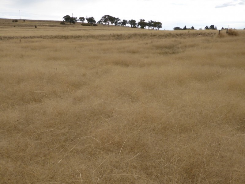 Lot 6/ 235 Gurrundah Road, Goulburn NSW 2580