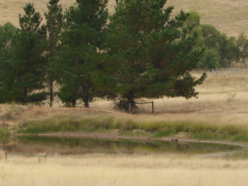 Lot 6/ 235 Gurrundah Road, Goulburn NSW 2580