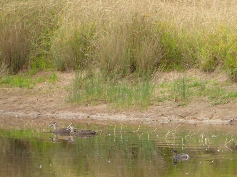 Lot 6/ 235 Gurrundah Road, Goulburn NSW 2580