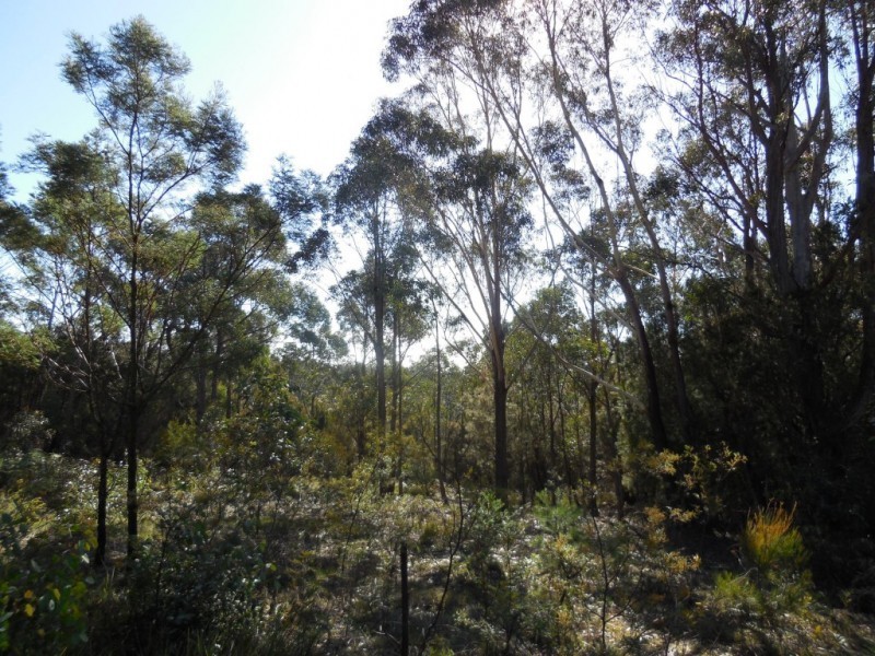 995 Bullamalita Road, Quialigo via, Goulburn NSW 2580