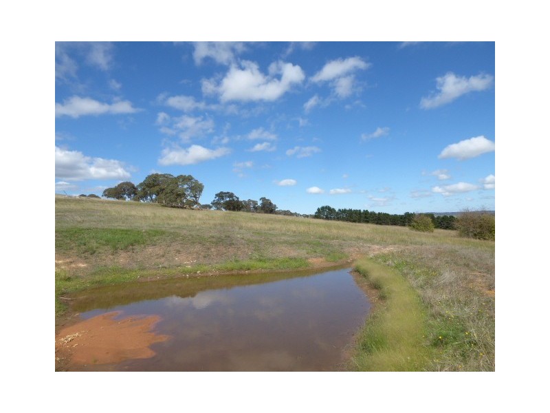 Lot 2/ 235 Gurrundah Road, Goulburn NSW 2580