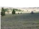 Lot 2/ 235 Gurrundah Road, Goulburn NSW 2580