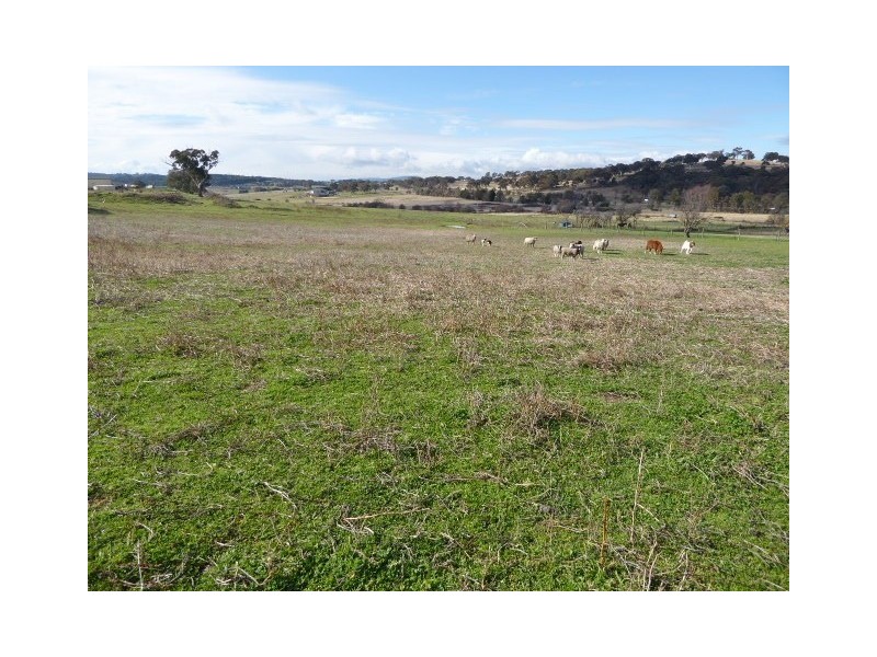 43 Loloma Place, Run-o-waters, Goulburn NSW 2580