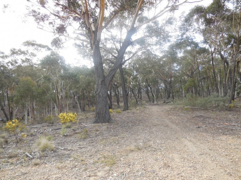 428 Mt Baw Baw Road, Goulburn NSW 2580