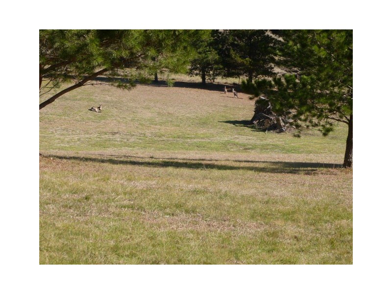 92 Clyde Street, Goulburn NSW 2580