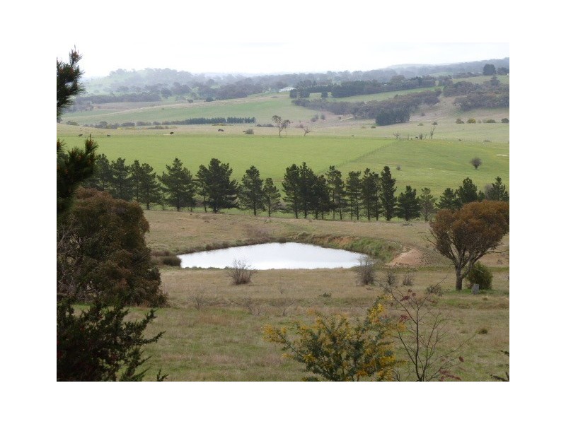 Lot 8, 235 Gurrundah Road, Goulburn NSW 2580