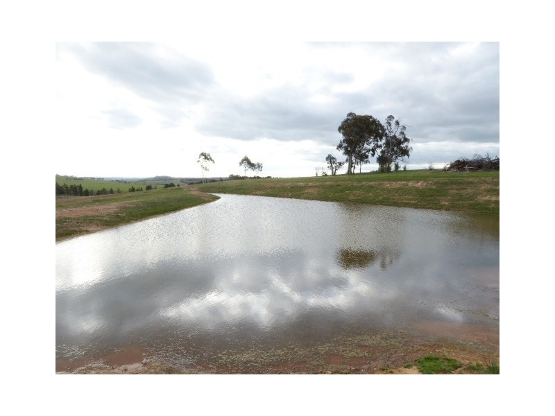 Lot 8, 235 Gurrundah Road, Goulburn NSW 2580