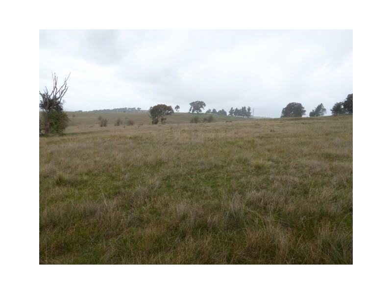 Lot 8, 235 Gurrundah Road, Goulburn NSW 2580