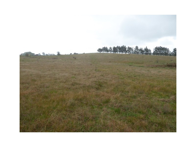 Lot 8, 235 Gurrundah Road, Goulburn NSW 2580