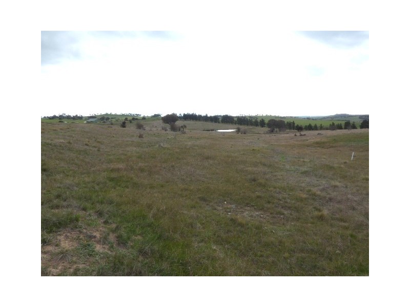 Lot 8, 235 Gurrundah Road, Goulburn NSW 2580