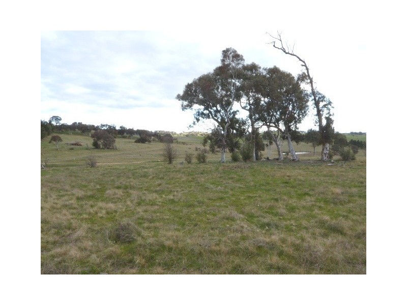 Lot 8, 235 Gurrundah Road, Goulburn NSW 2580