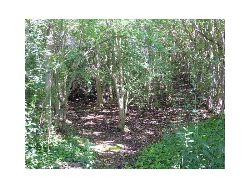 Lot 1, 24 Wollondilly Avenue, Goulburn NSW 2580