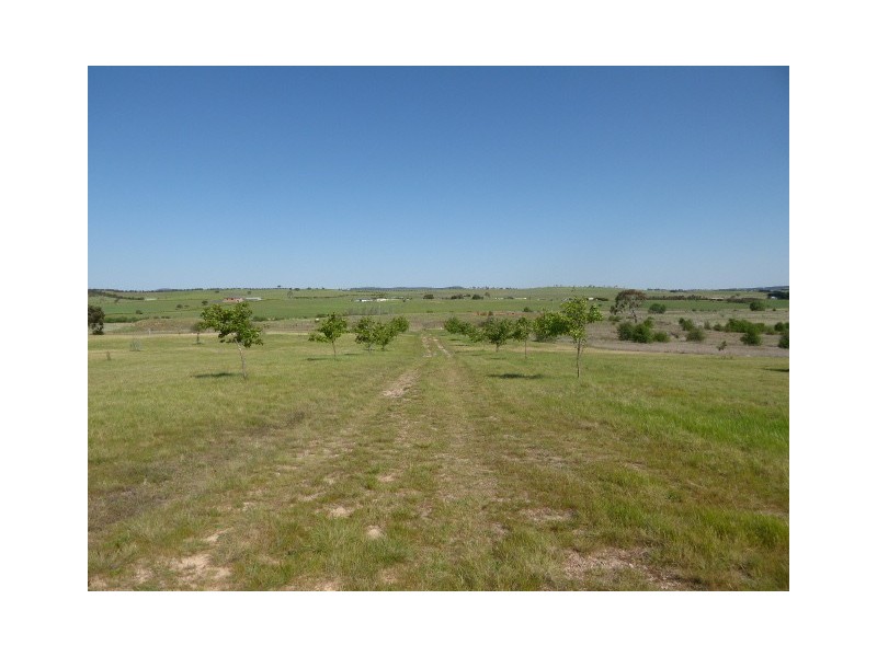 101 Marble Hill Road, Goulburn NSW 2580