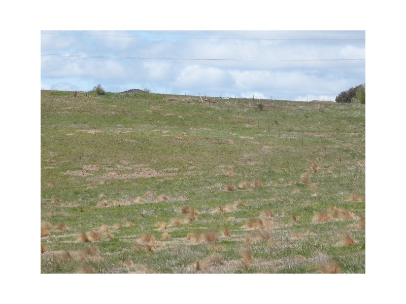 Lot 911 ‘Snowgums’ Clyde Street, Goulburn NSW 2580