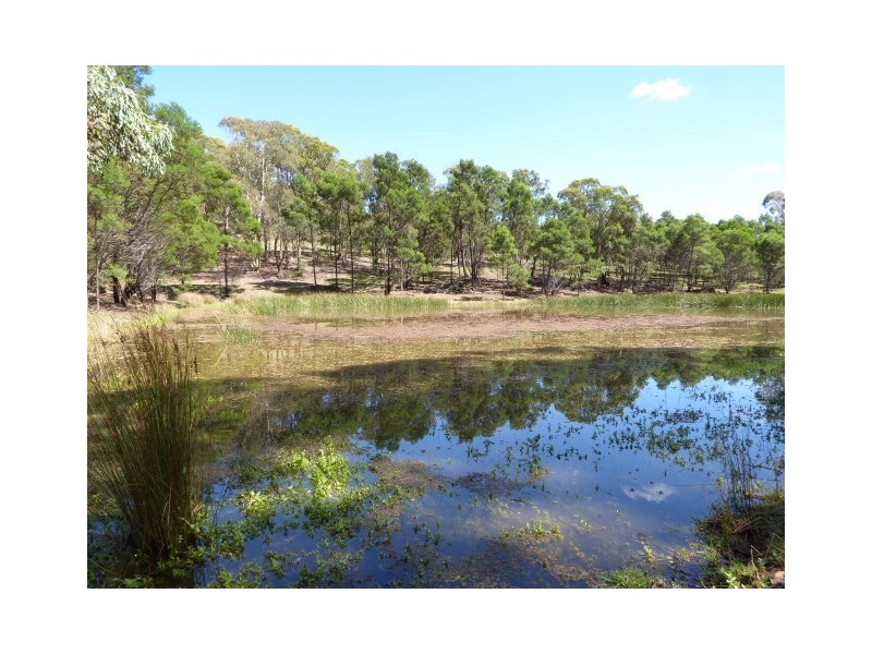 169 Bullamalito Avenue, Quialigo via, Goulburn NSW 2580