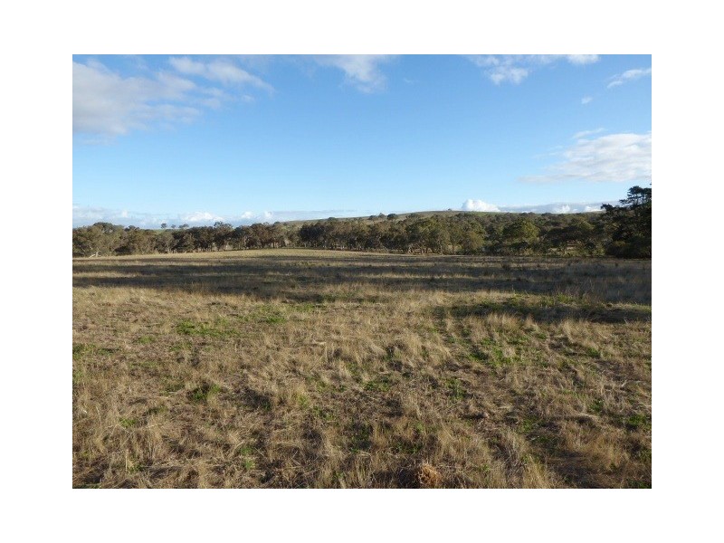 151 Pooleys Road, Mummel via, Goulburn NSW 2580