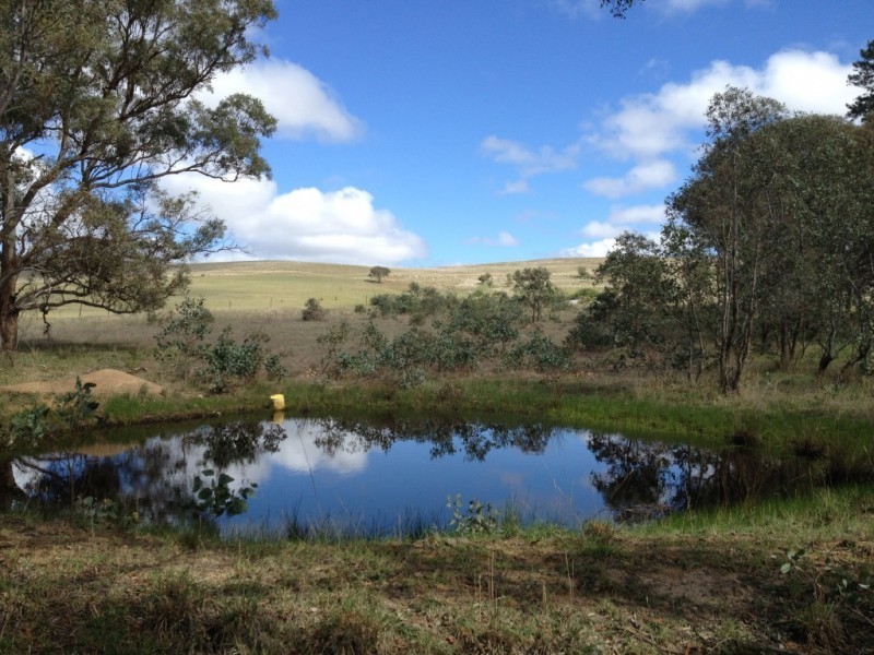 151 Pooleys Road, Mummel via, Goulburn NSW 2580