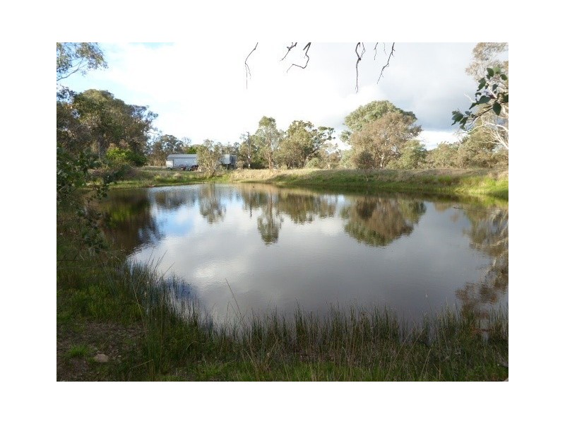 151 Pooleys Road, Mummel via, Goulburn NSW 2580