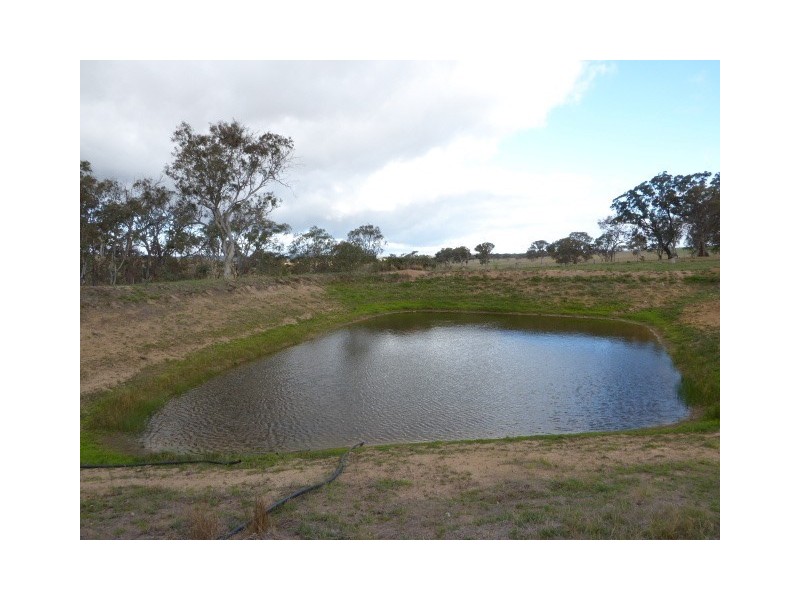 151 Pooleys Road, Mummel via, Goulburn NSW 2580