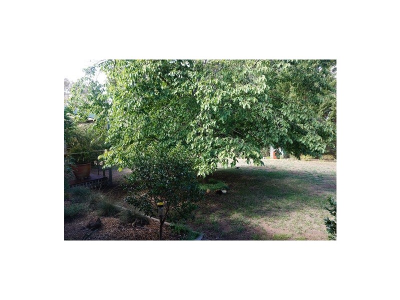 1a Loder Street, Goulburn NSW 2580