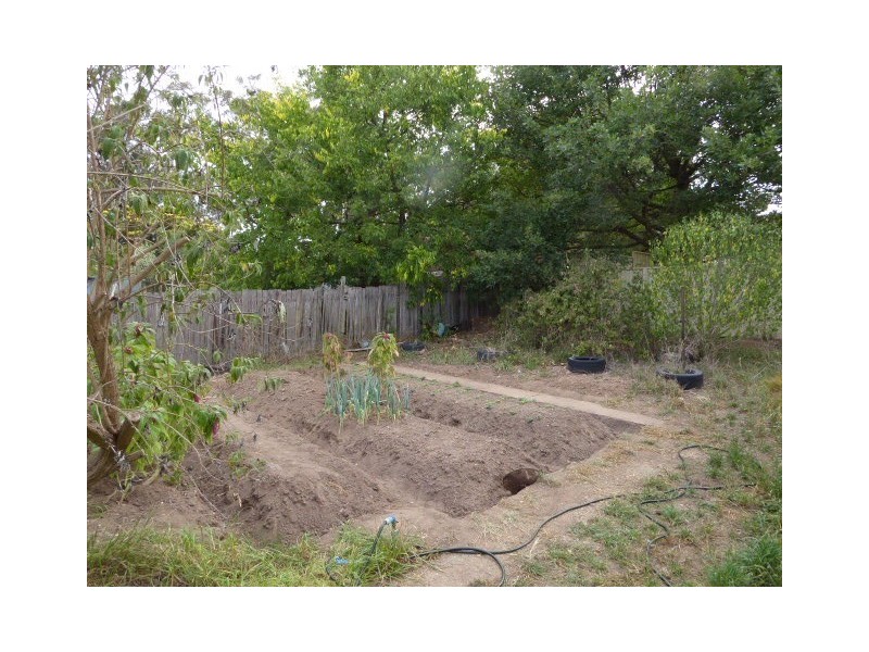 38 Rhoda Street, Goulburn NSW 2580