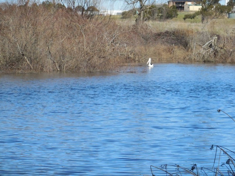 Lot 2, 24 Wollondilly Avenue, Goulburn NSW 2580