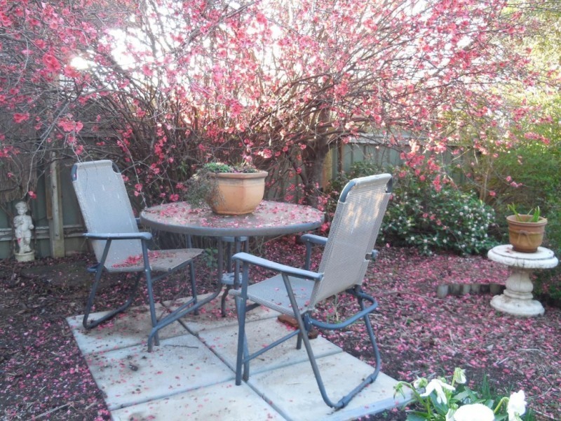 13 William Street, Goulburn NSW 2580