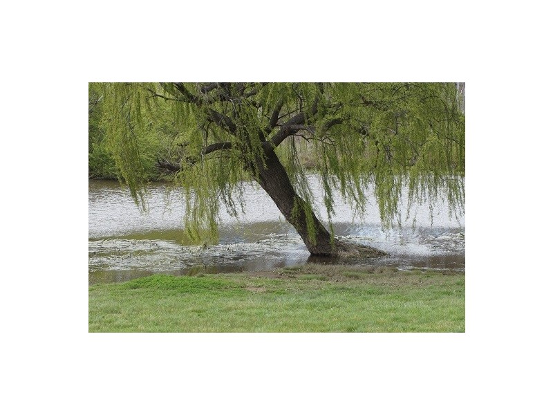 Lot 329 (old Lot 407) Peppertree Place, Goulburn NSW 2580