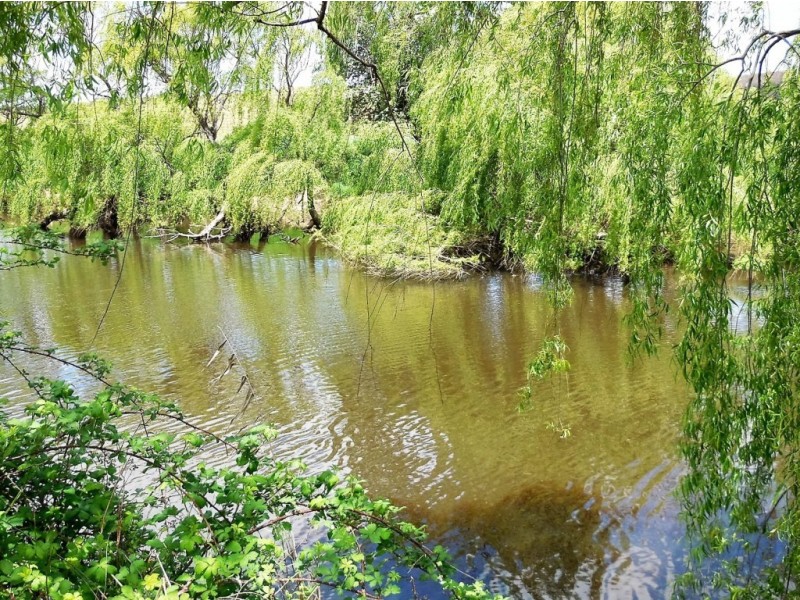 1169 Pomeroy Road, Goulburn NSW 2580