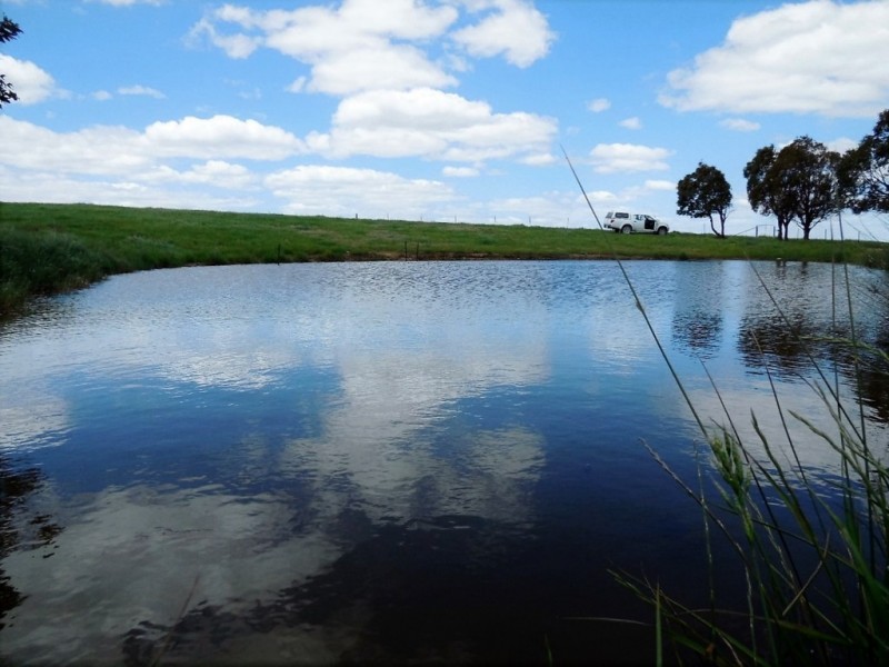 1169 Pomeroy Road, Goulburn NSW 2580