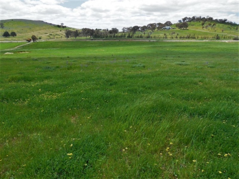 1169 Pomeroy Road, Goulburn NSW 2580