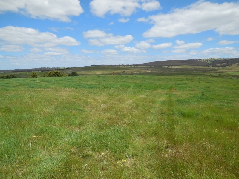 1169 Pomeroy Road, Goulburn NSW 2580