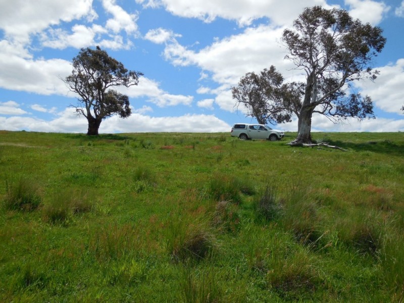 1169 Pomeroy Road, Goulburn NSW 2580