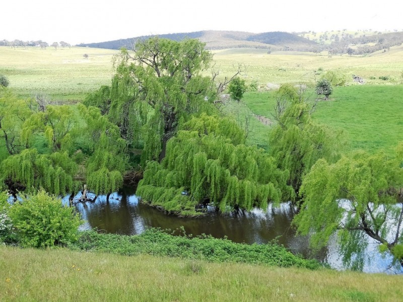 1169 Pomeroy Road, Goulburn NSW 2580