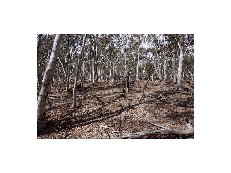 Lot 247 Fernleigh Close, Windellama NSW 2580