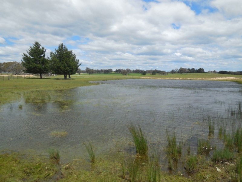 530 Jacqua Road, Windellama, via, Goulburn NSW 2580