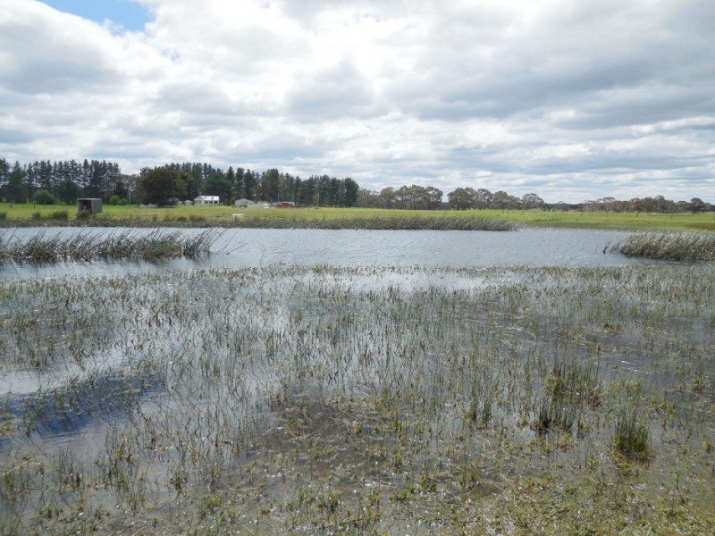 530 Jacqua Road, Windellama, via, Goulburn NSW 2580