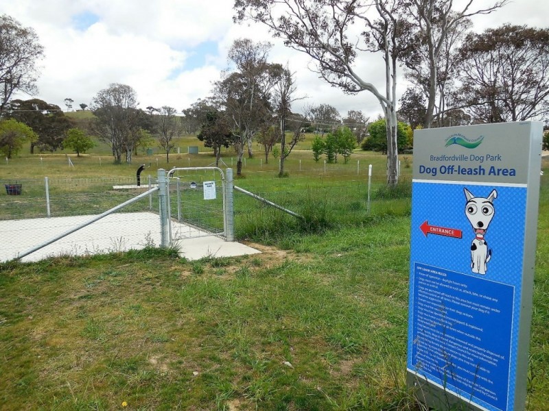 25 Healey Street, Goulburn NSW 2580