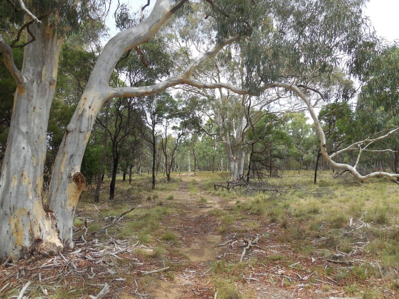 561 Mount Baw Baw Road, Goulburn NSW 2580