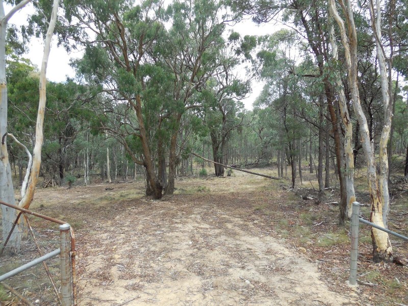 561 Mount Baw Baw Road, Goulburn NSW 2580