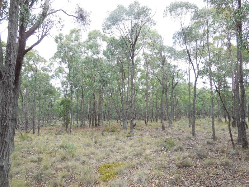 561 Mount Baw Baw Road, Goulburn NSW 2580