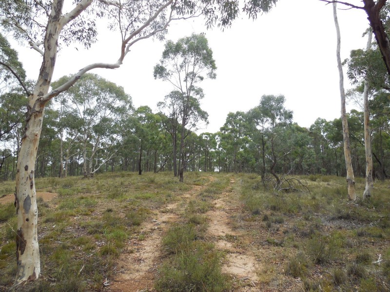 561 Mount Baw Baw Road, Goulburn NSW 2580