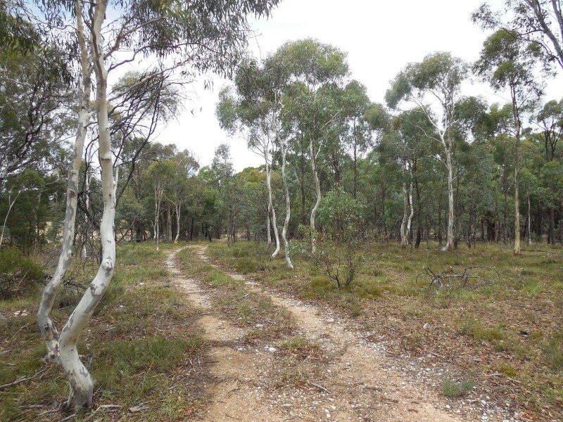 561 Mount Baw Baw Road, Goulburn NSW 2580