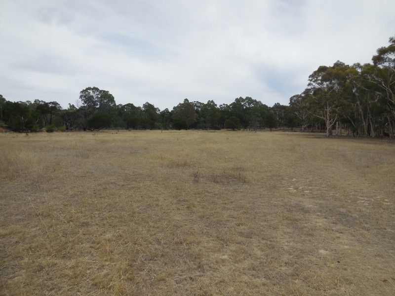 561 Mount Baw Baw Road, Goulburn NSW 2580