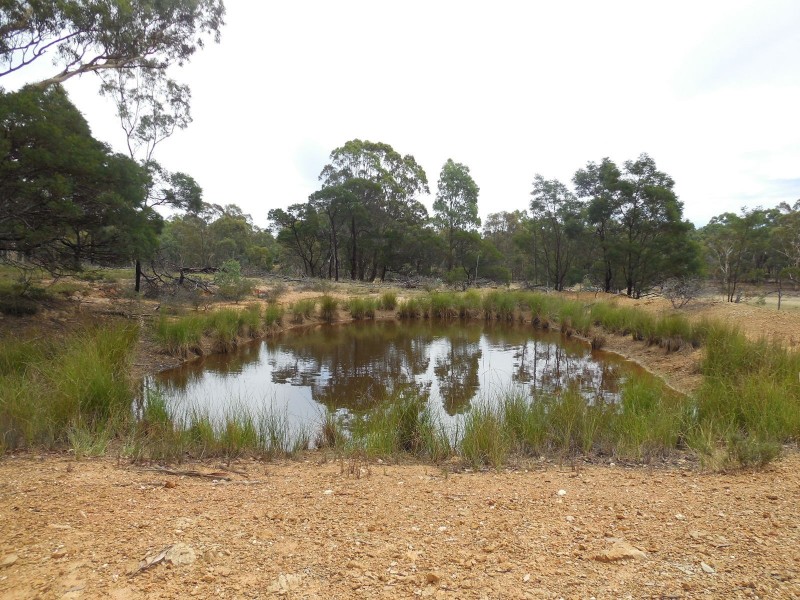 561 Mount Baw Baw Road, Goulburn NSW 2580
