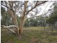 561 Mount Baw Baw Road, Goulburn NSW 2580